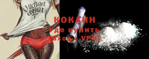 бошки Белокуриха