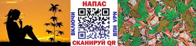 где купить   Кузнецк  Конопля тримм 